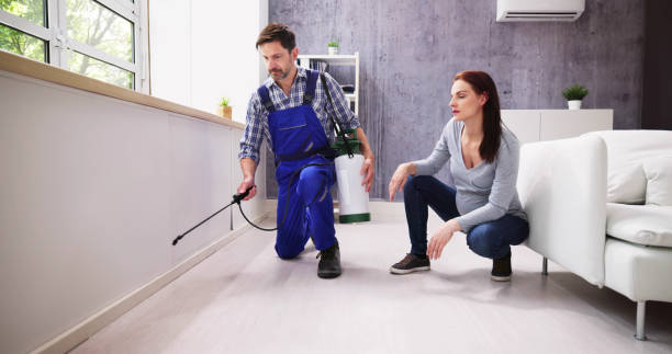 Best Pest Prevention Services  in Jamul, CA